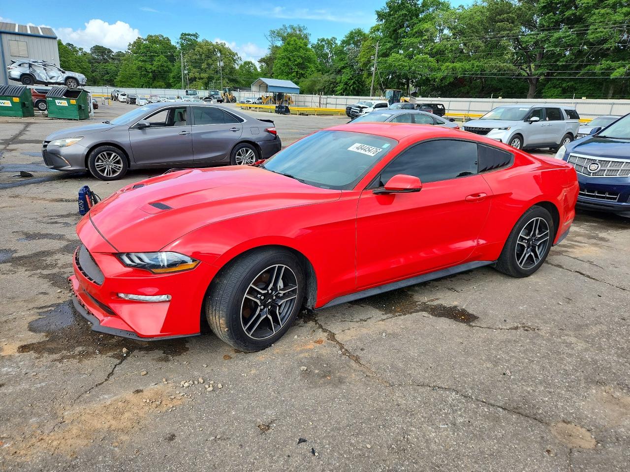 Salvage Ford Mustang Image