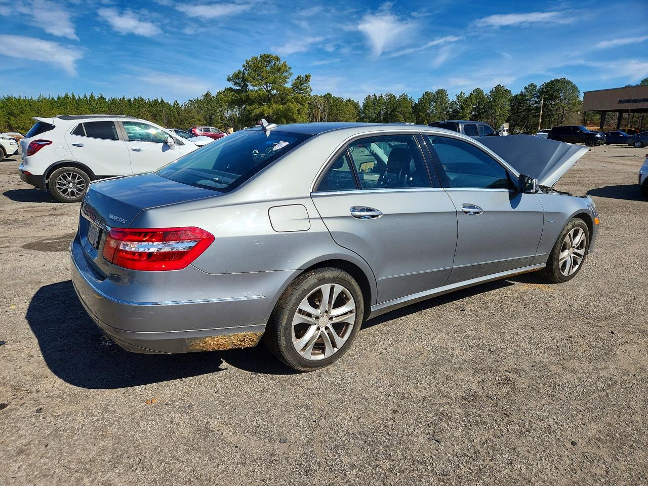 Mercedes-Benz E-Class 350 Bluetec