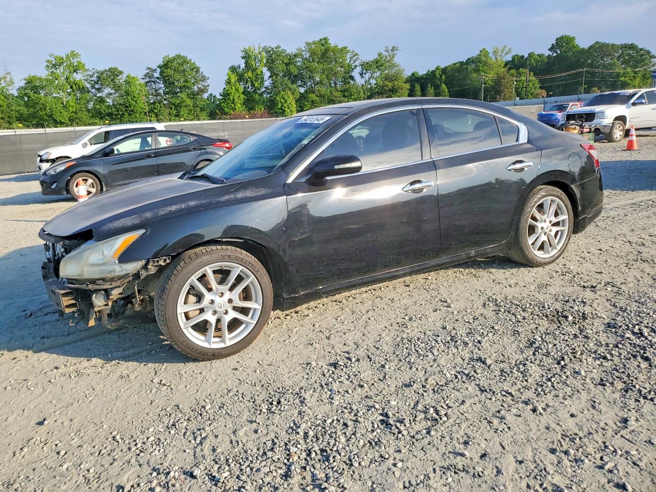 Salvage Nissan Maxima Image
