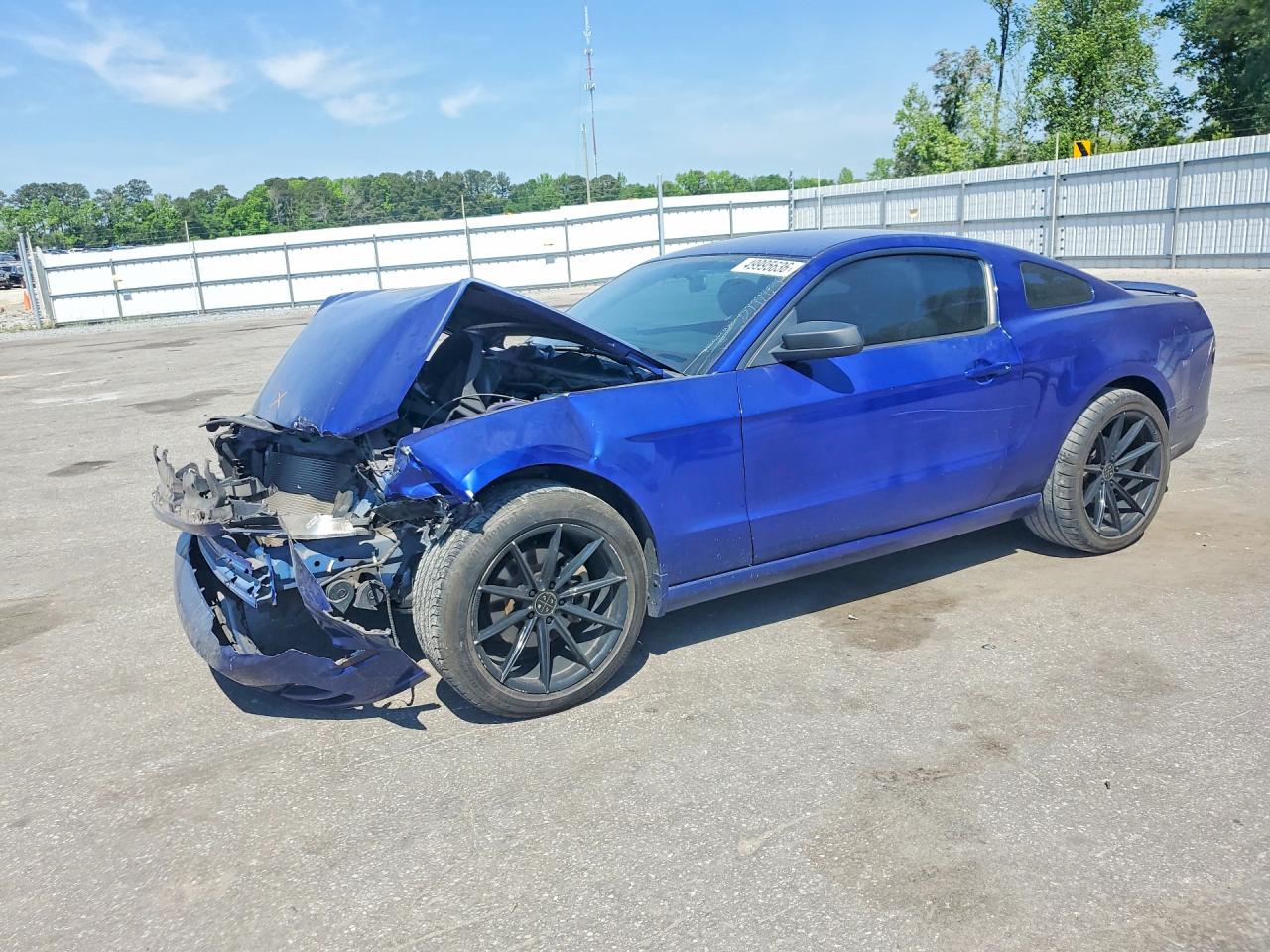 Salvage Ford Mustang Image