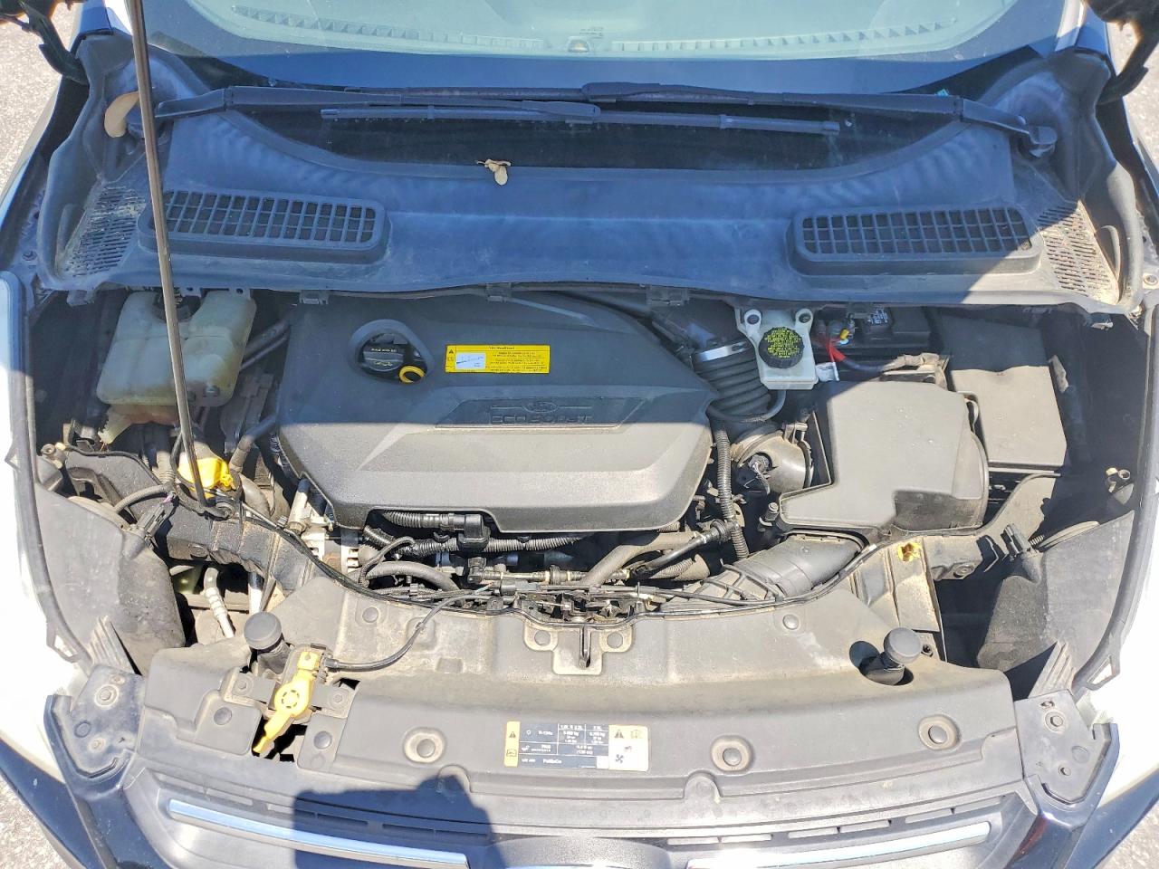 Ford Escape