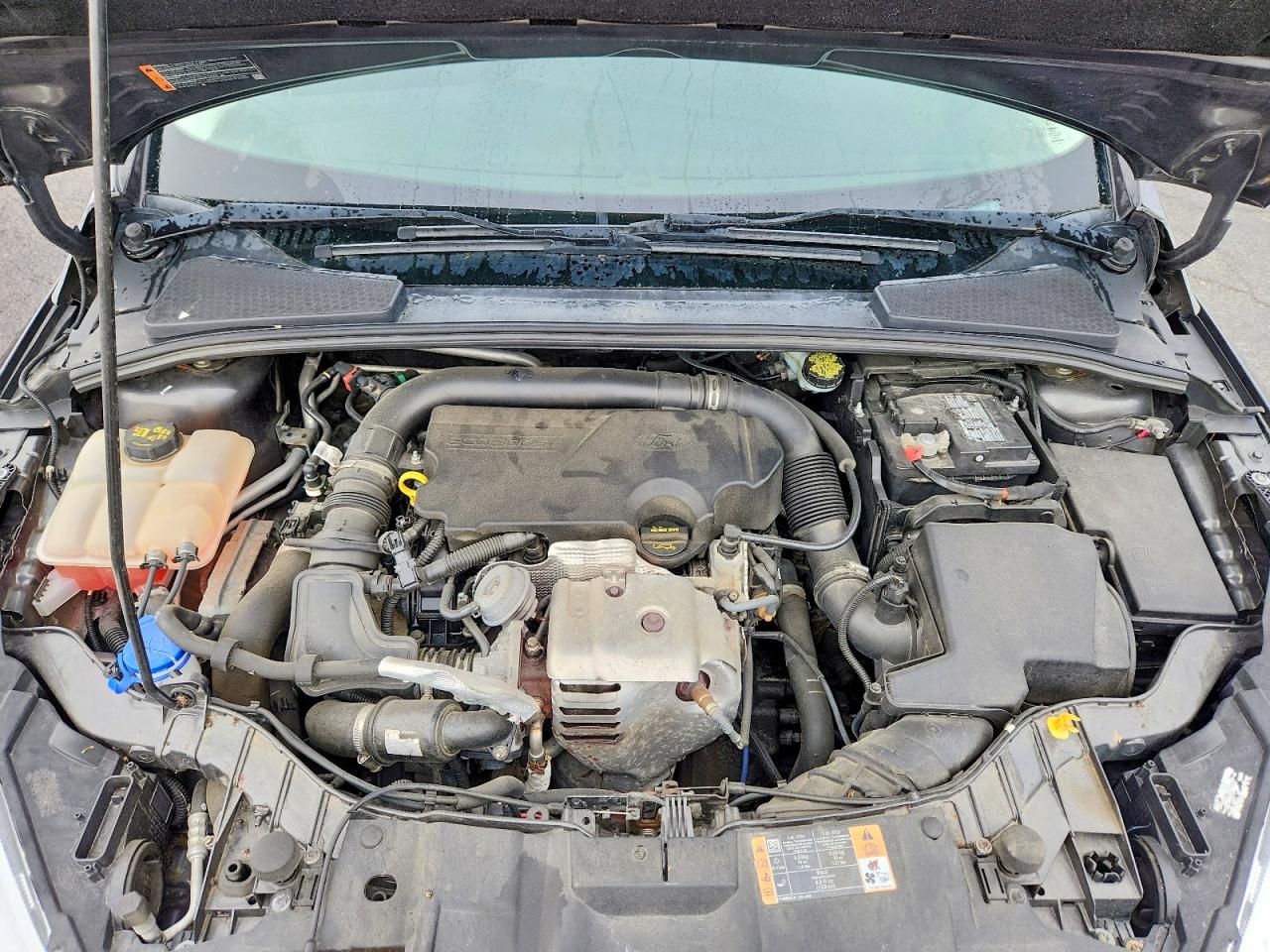 Ford Focus Se