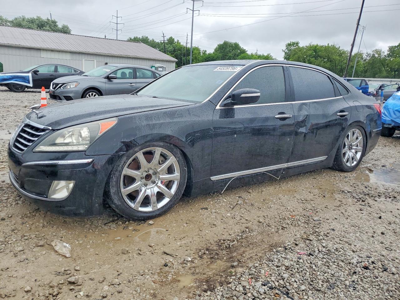 Salvage Hyundai Equus Image
