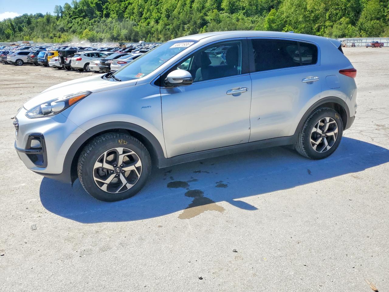 Salvage Kia Sportage Image