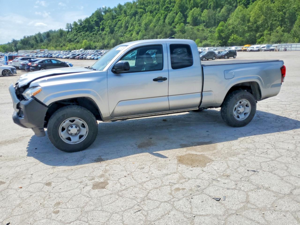 Salvage Toyota Tacoma Image