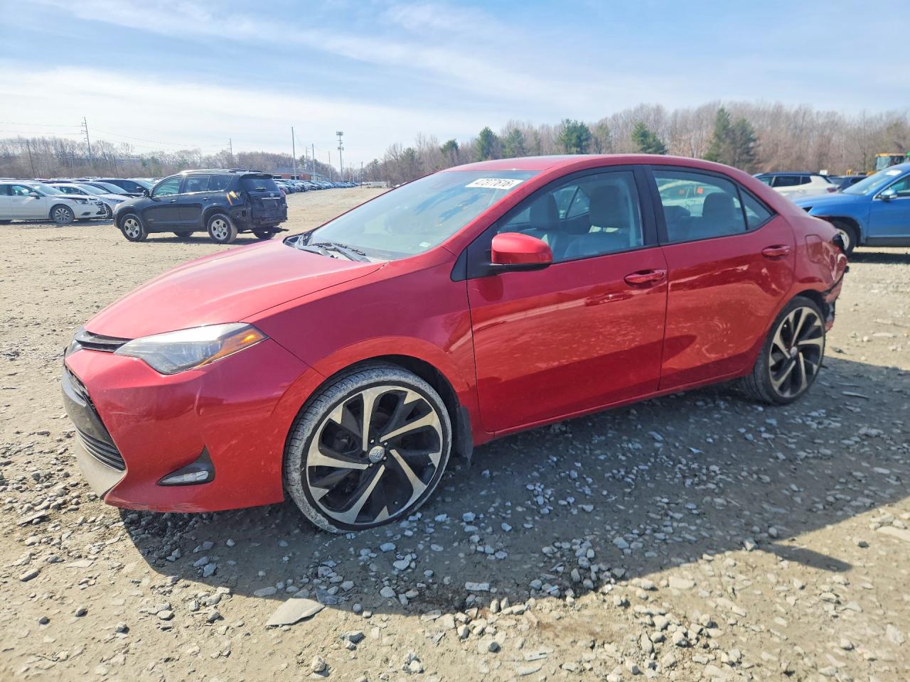 Salvage Toyota Corolla Image