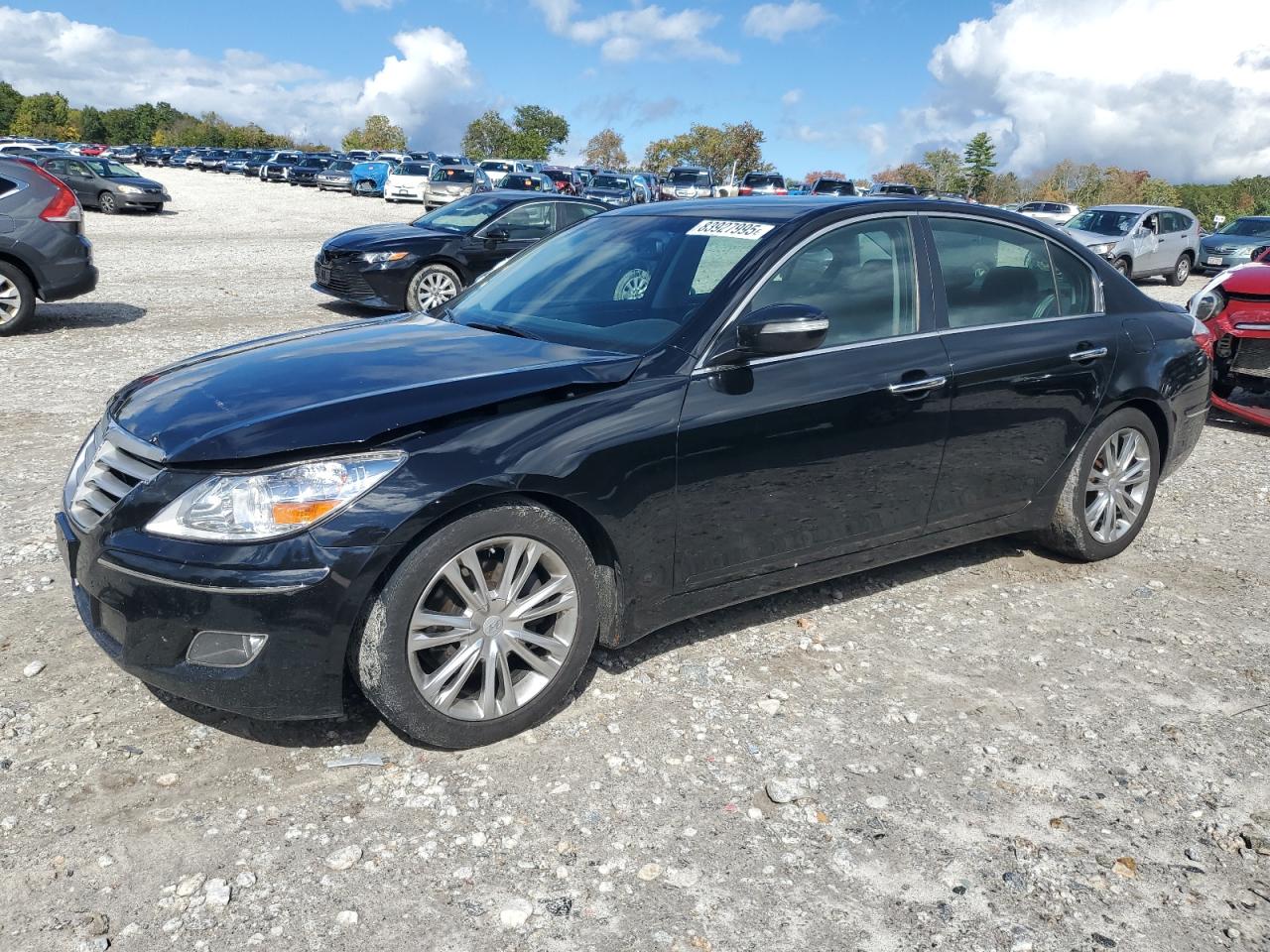 Salvage Hyundai Genesis Image