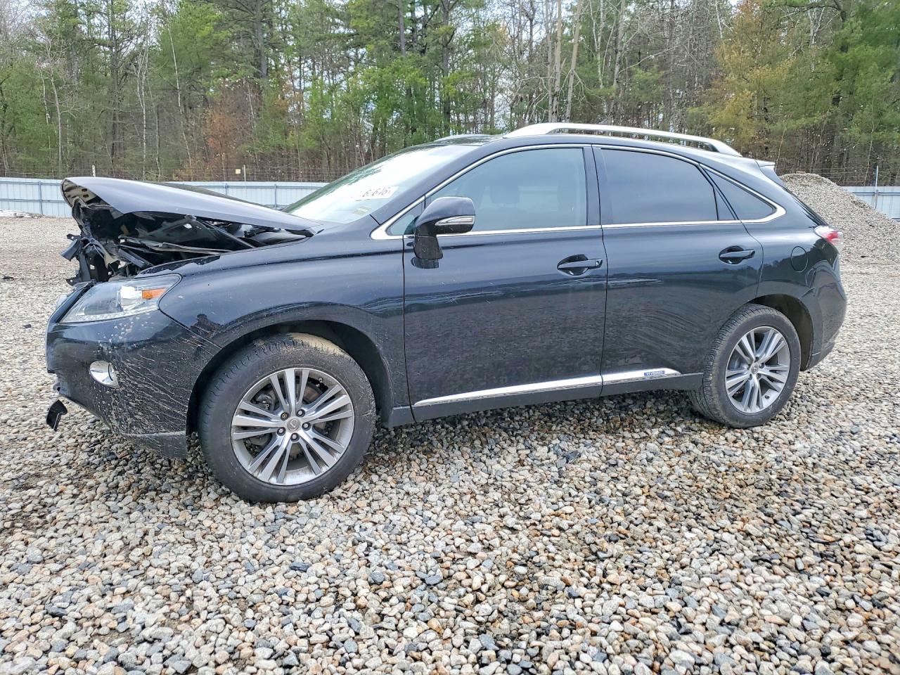 Salvage Lexus RX Image