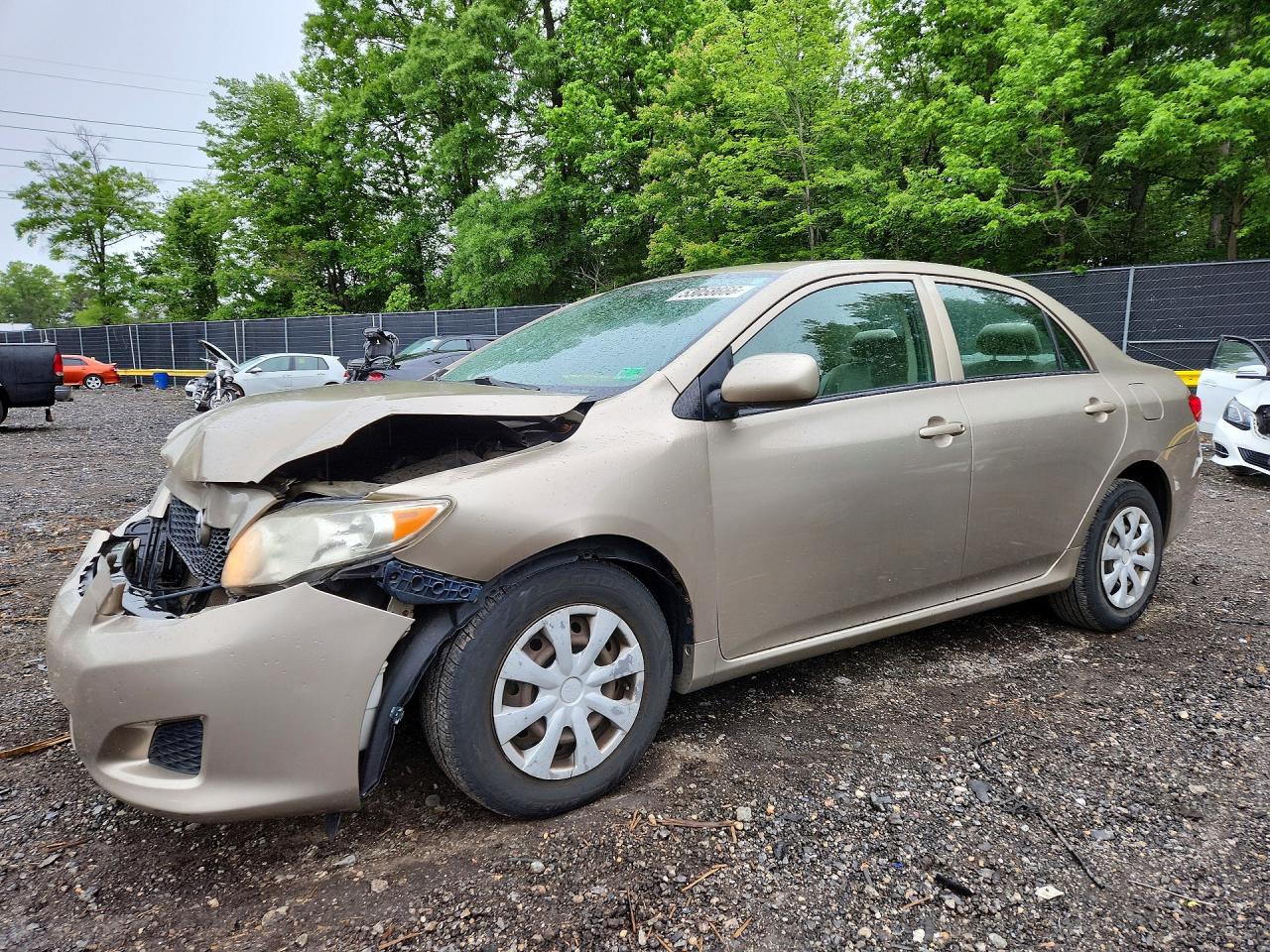 Salvage Toyota Corolla Image