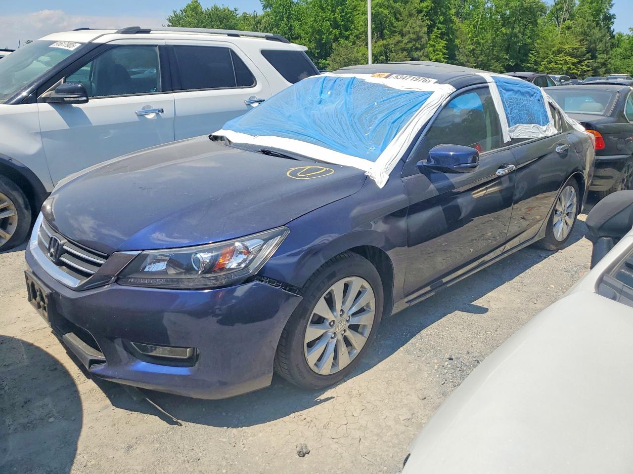 Salvage Honda Accord Image