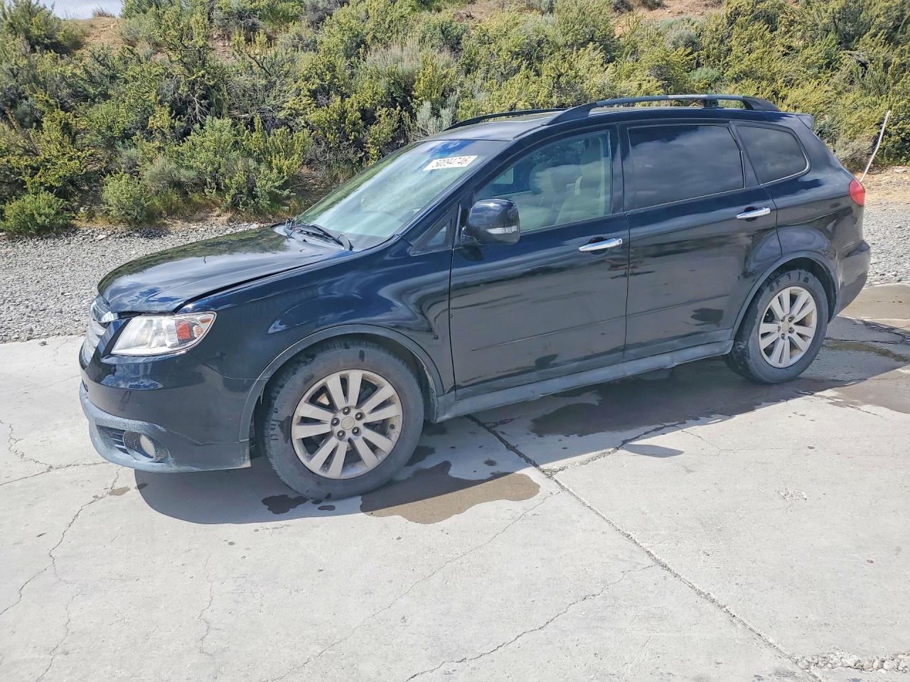 Salvage Subaru Tribeca Image