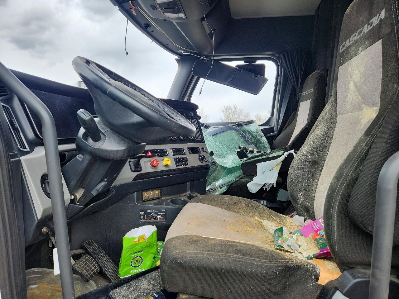 Freightliner Cascadia 126