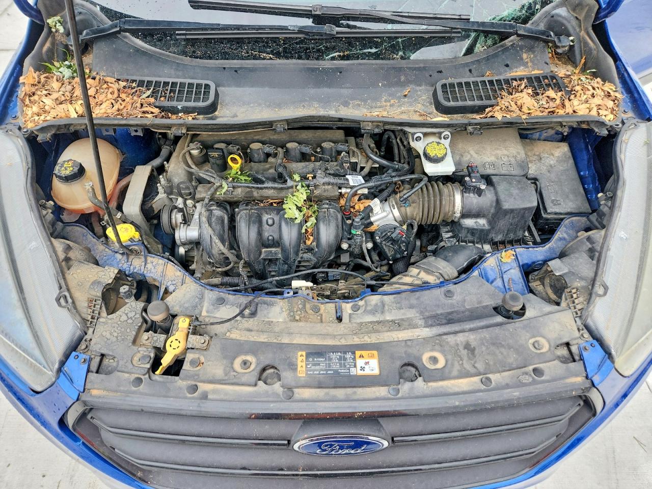 Ford Escape S