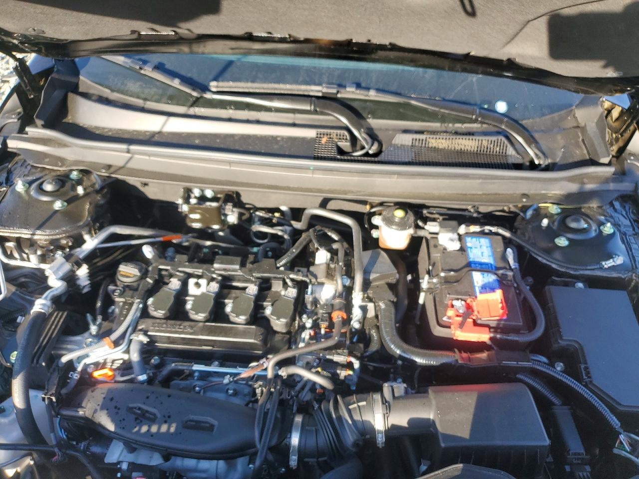 Honda Accord Se