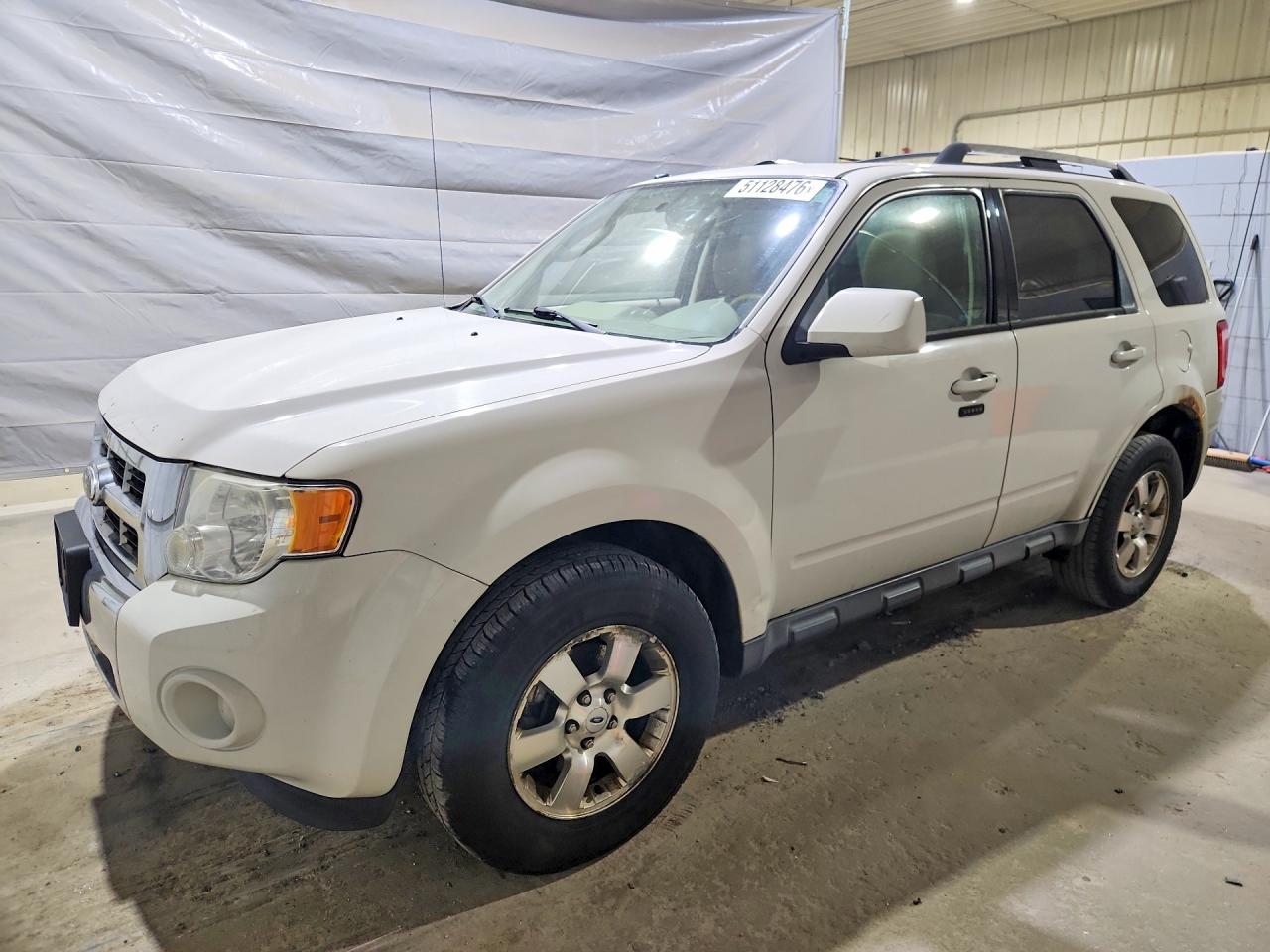 Salvage Ford Escape Image