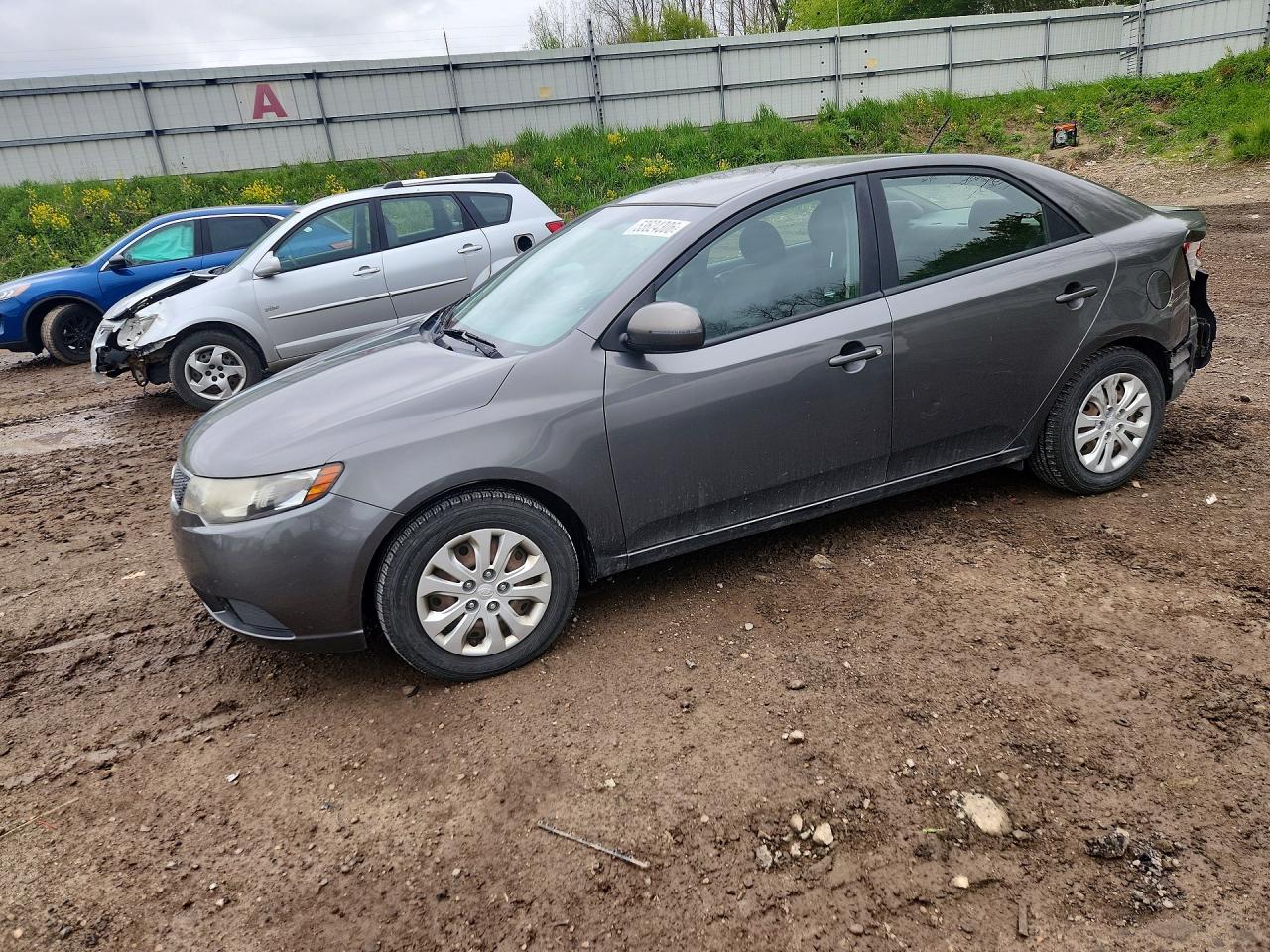 Salvage Kia Forte Image