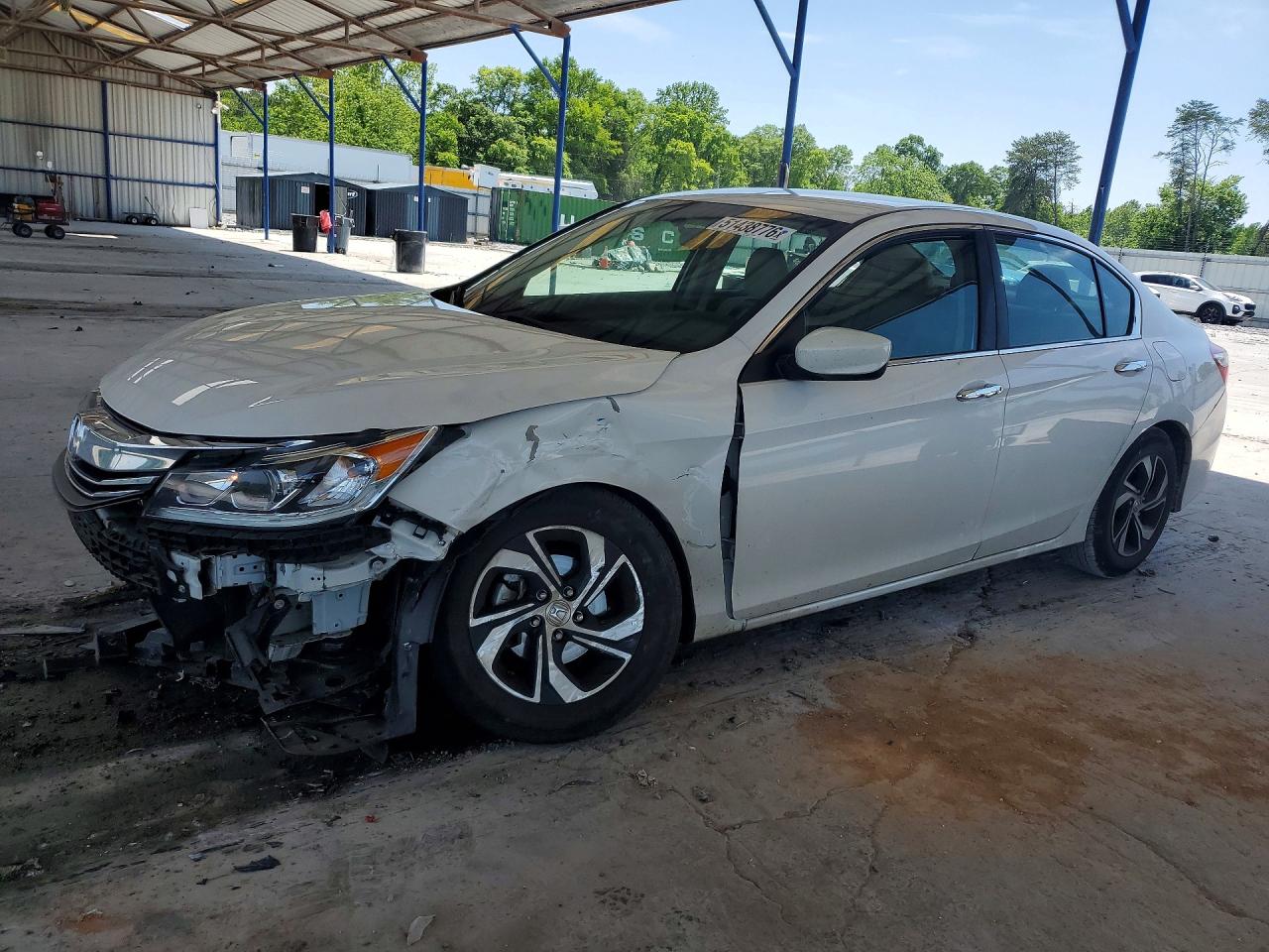 Salvage Honda Accord Image