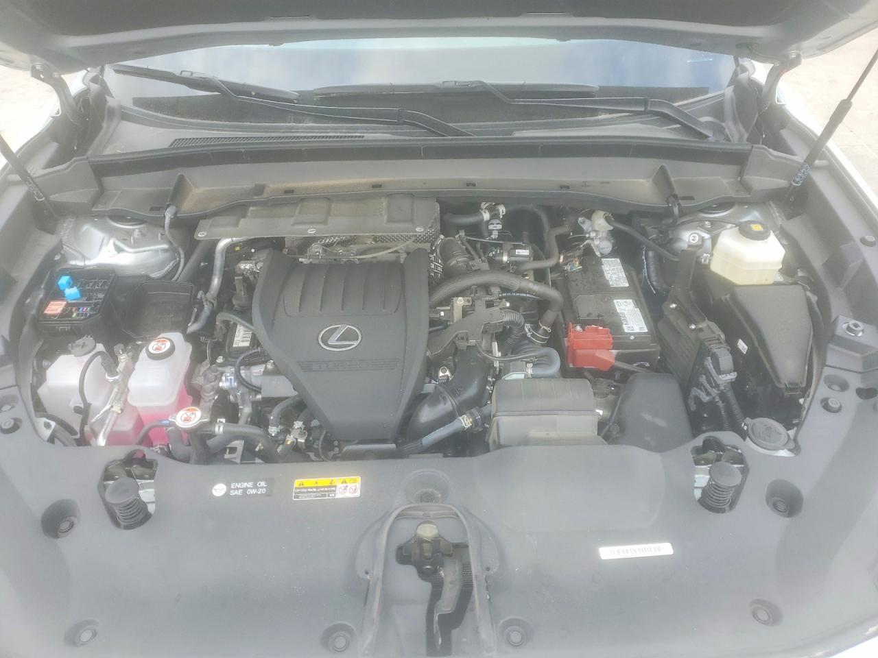 Lexus Other Premium