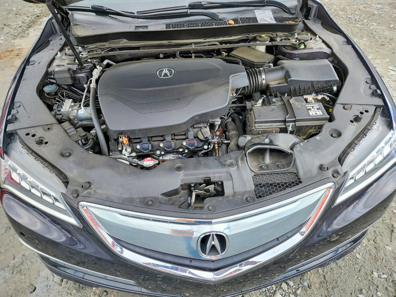 Acura TLX Advance