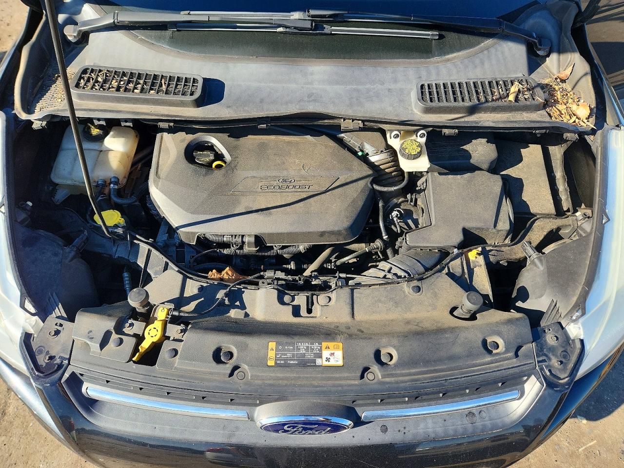 Ford Escape Se