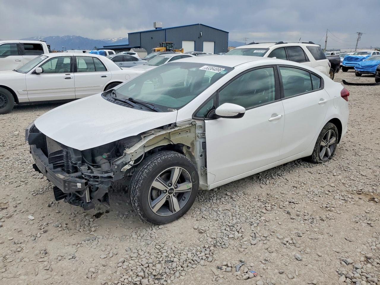 Salvage Kia Forte Image