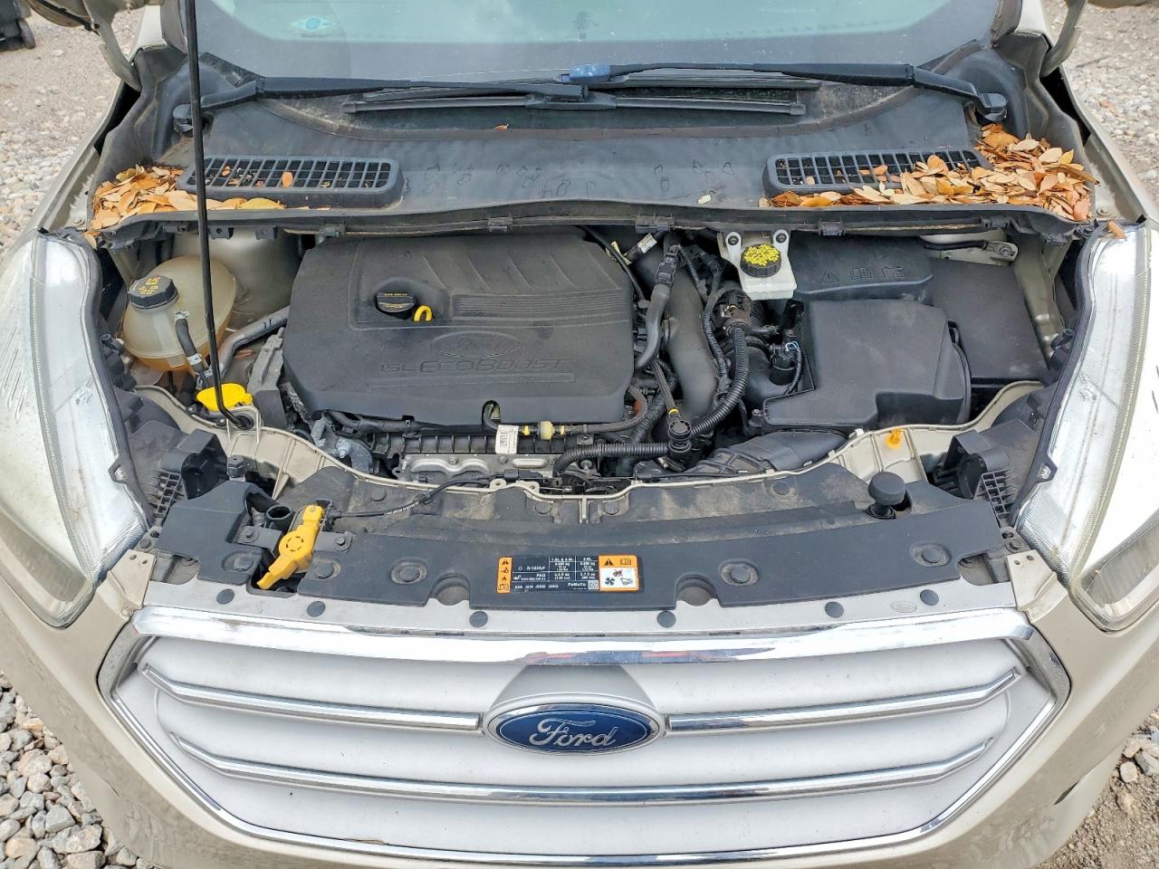 Ford Escape Se