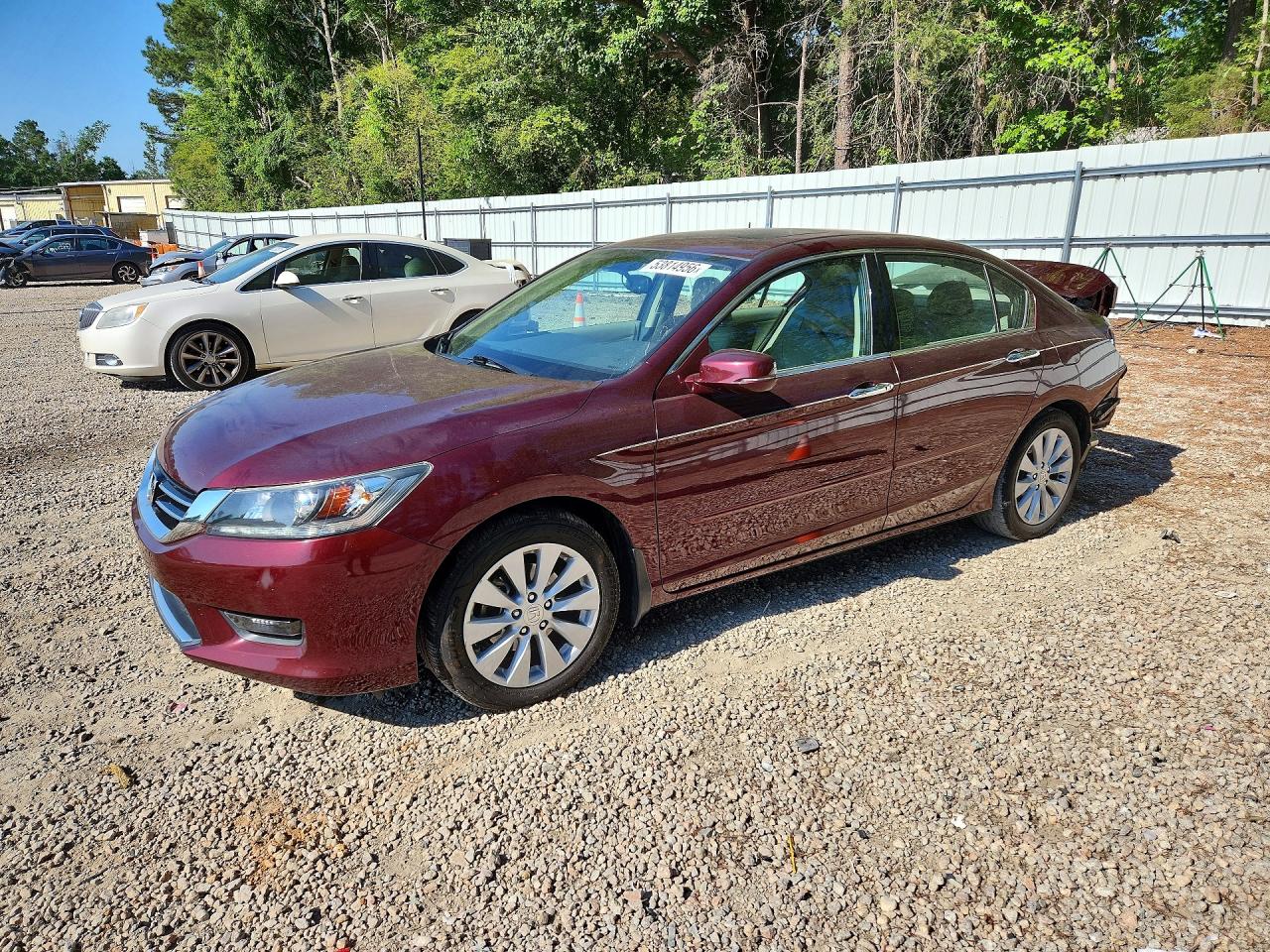 Salvage Honda Accord Image