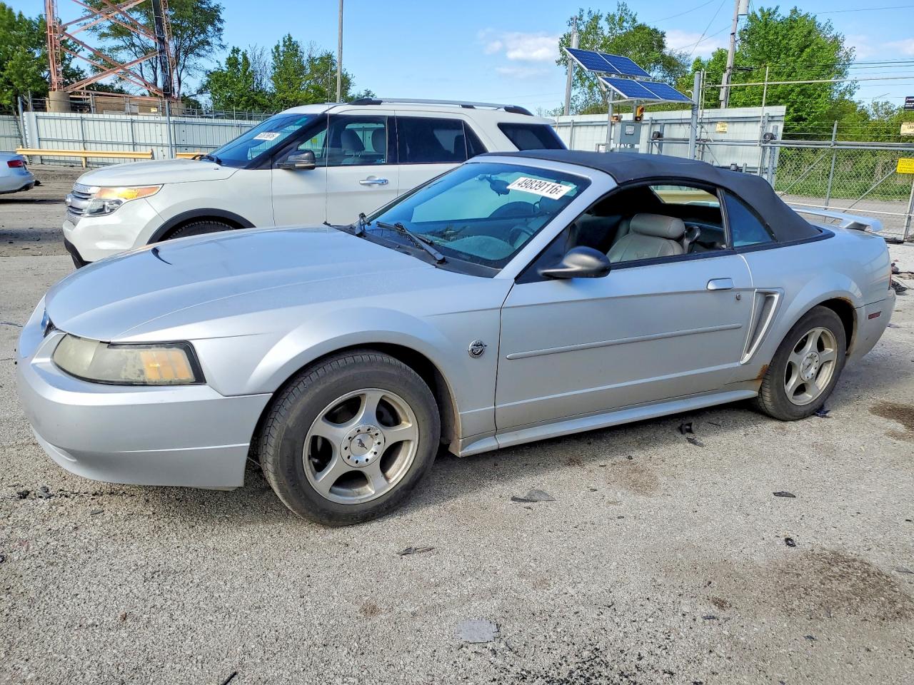 Salvage Ford Mustang Image