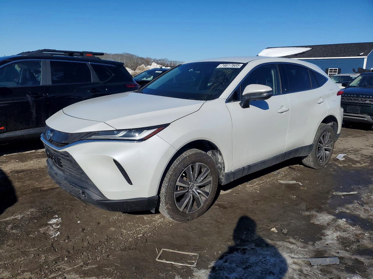 Salvage Toyota Venza Image