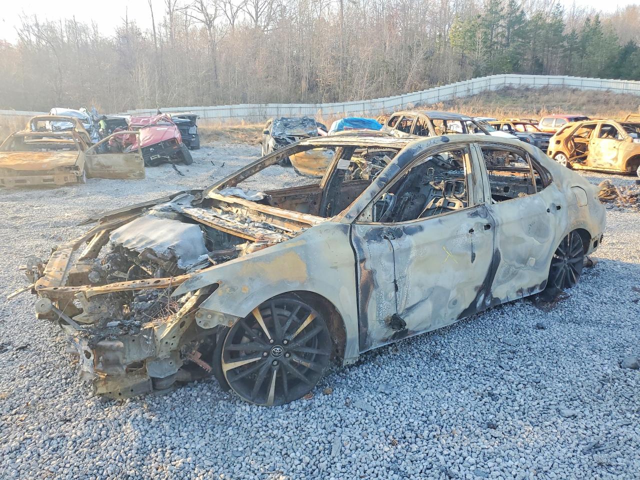 Salvage Toyota Camry Image