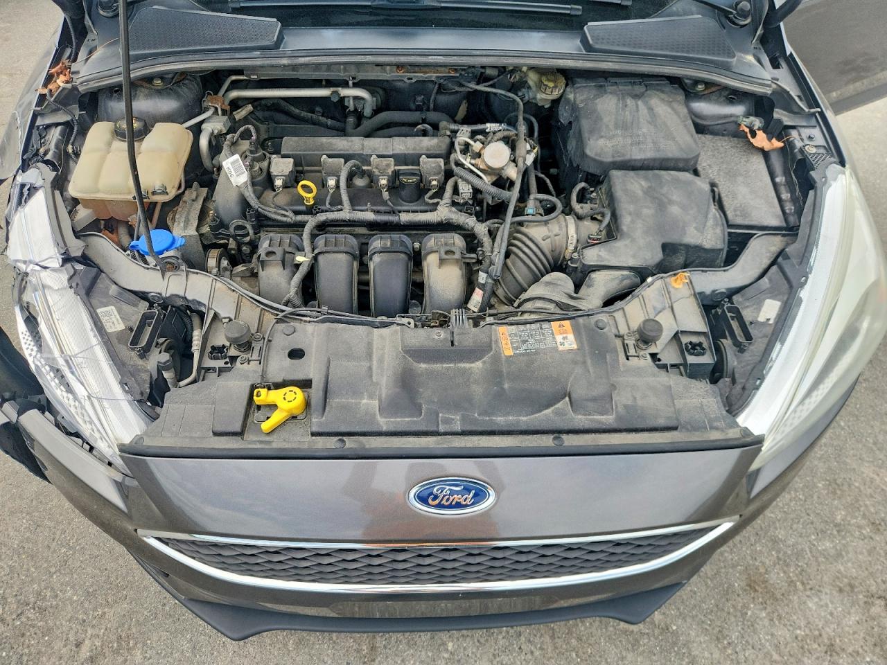 Ford Focus Se