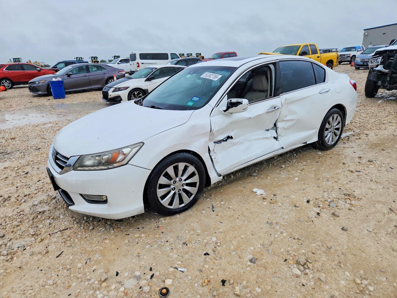 Salvage Honda Accord Image