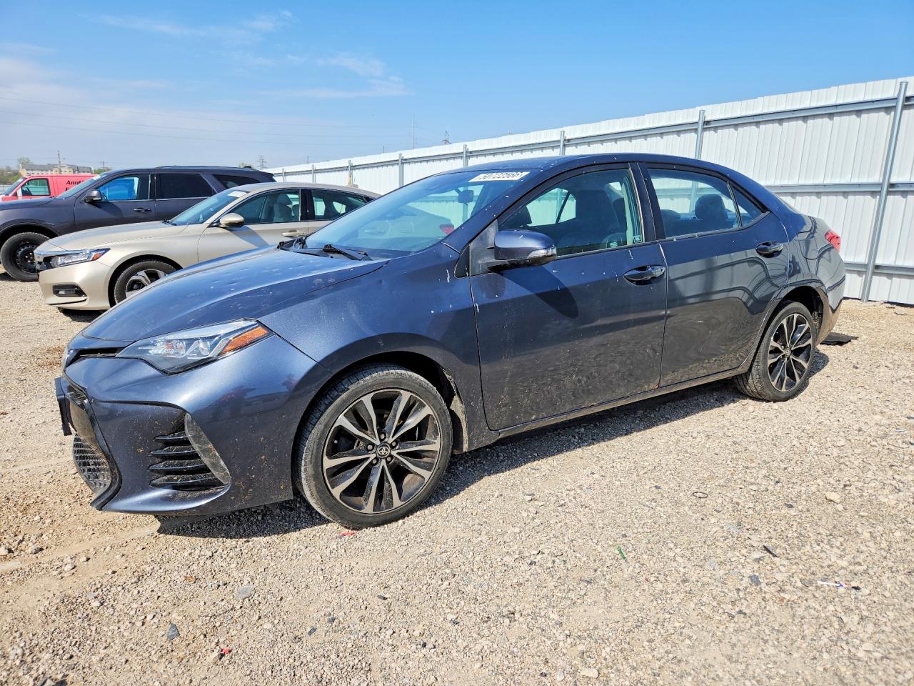 Salvage Toyota Corolla Image