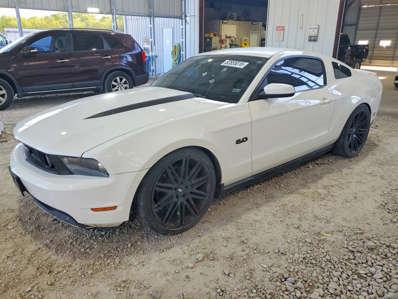 Salvage Ford Mustang Image