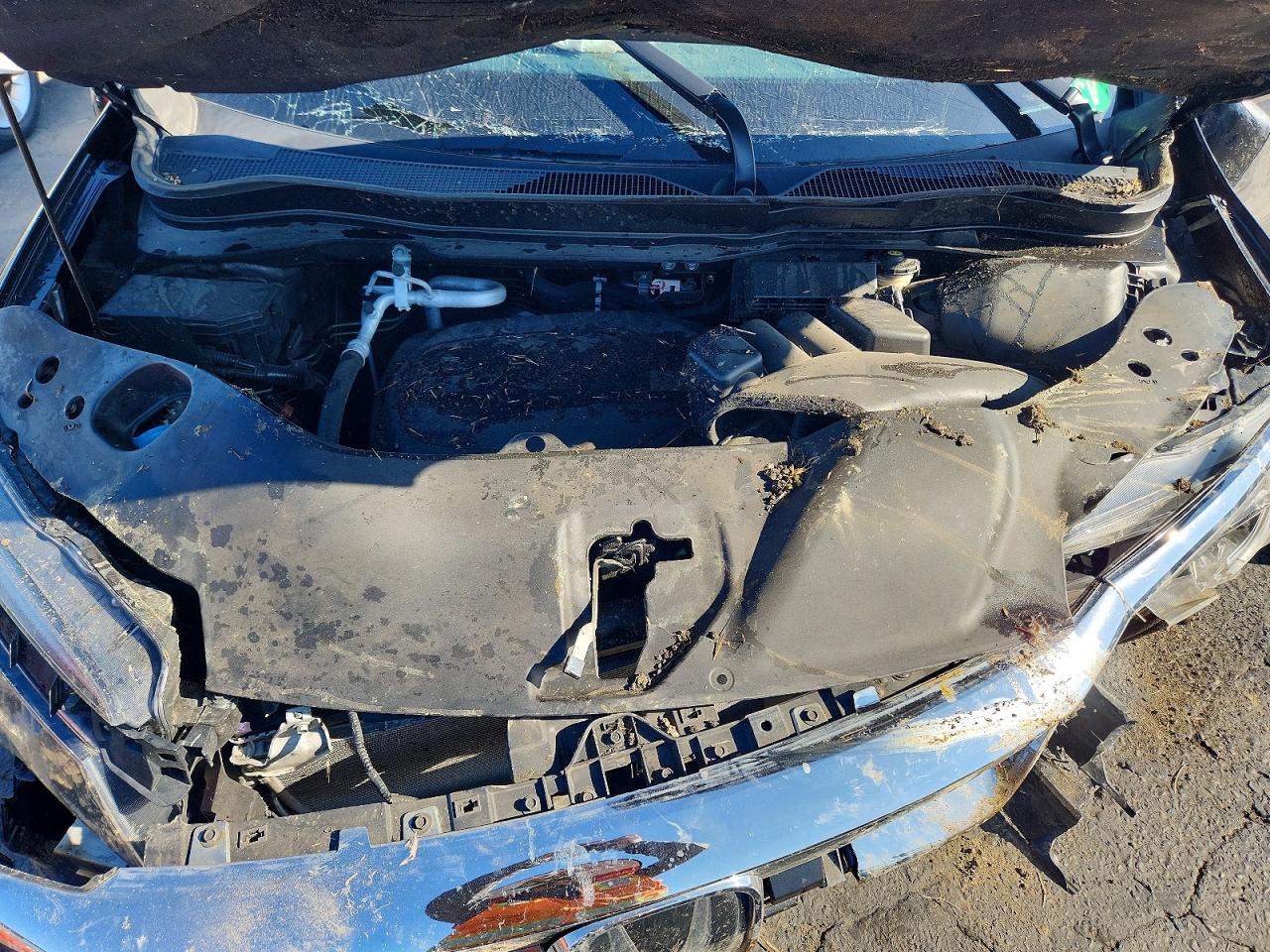Honda Pilot Exl