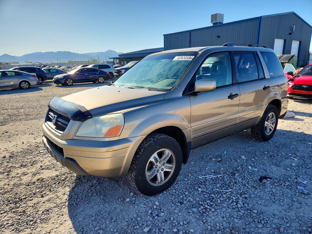 Salvage Honda Pilot Image