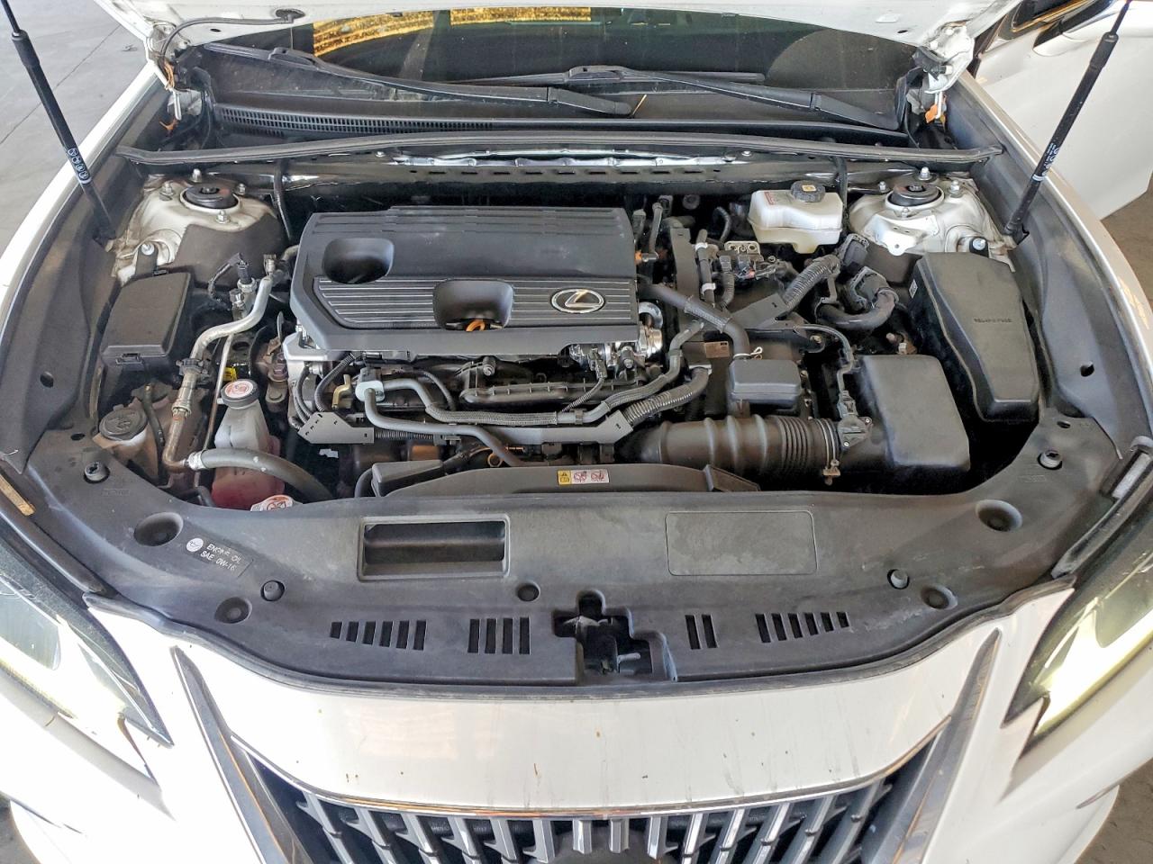 Lexus Es Base