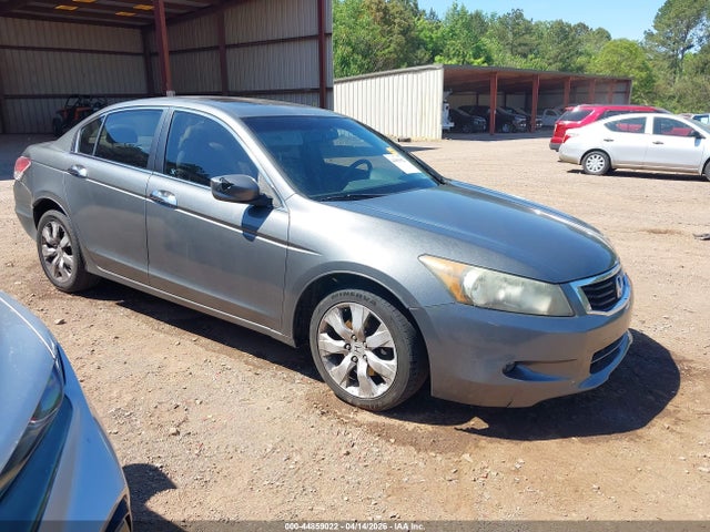 Salvage Honda Accord Image