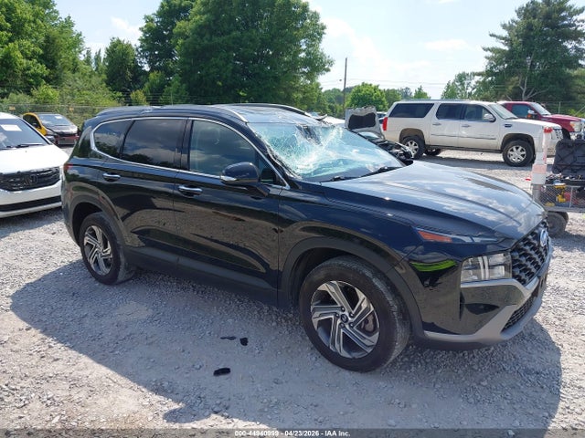 Salvage Hyundai SANTA FE Image