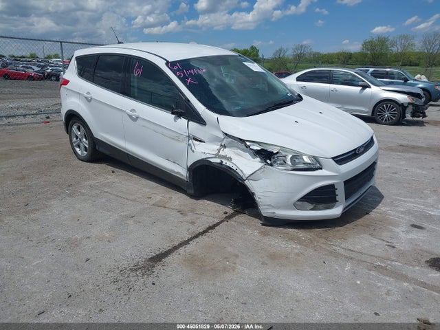 Salvage Ford Escape Image