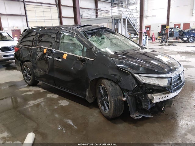 Salvage Honda Odyssey Image