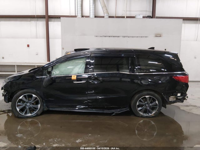 Honda Odyssey Elite