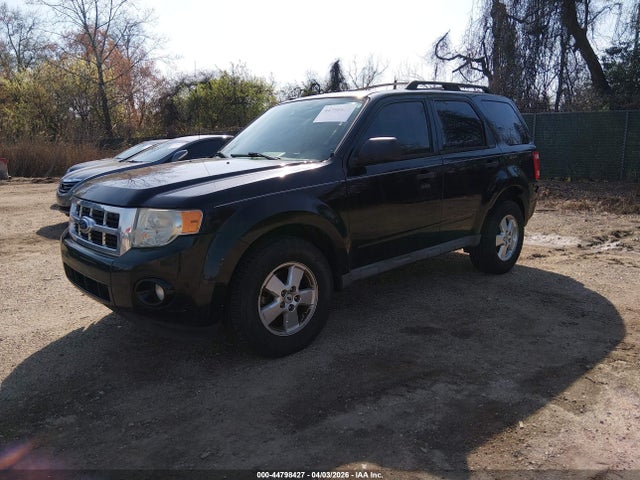 Ford Escape Xlt