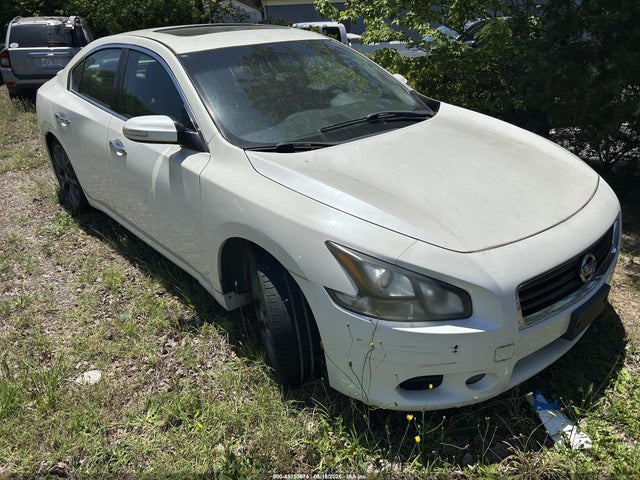Salvage Nissan Maxima Image