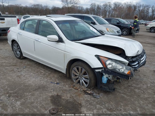 Salvage Honda Accord Image