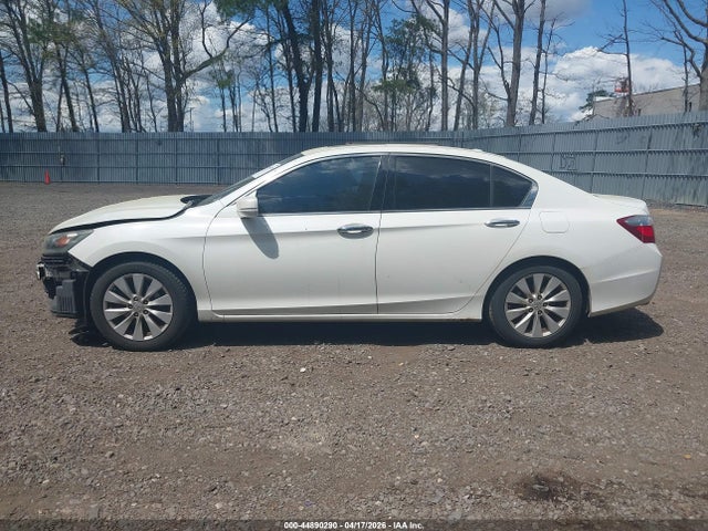 Honda Accord Ex-l V-6