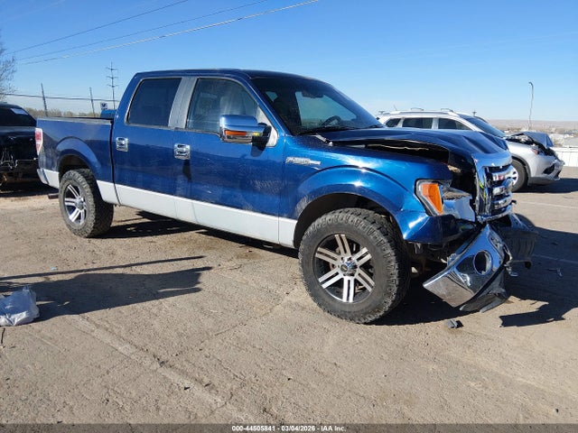Salvage Ford F-150 Image