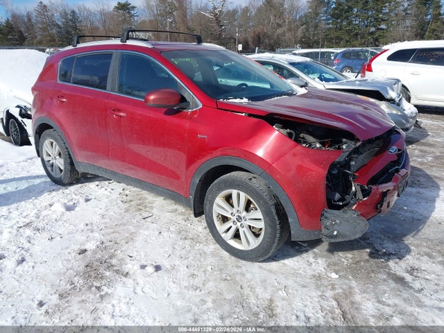 Salvage Kia Sportage Image