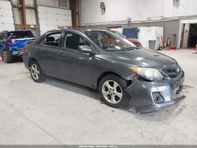 Salvage Toyota Corolla Image
