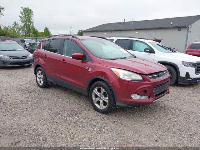 Salvage Ford Escape Image